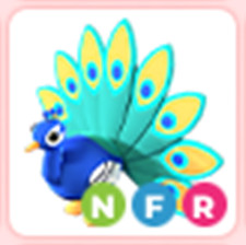 NFR peacock Fast Delivery