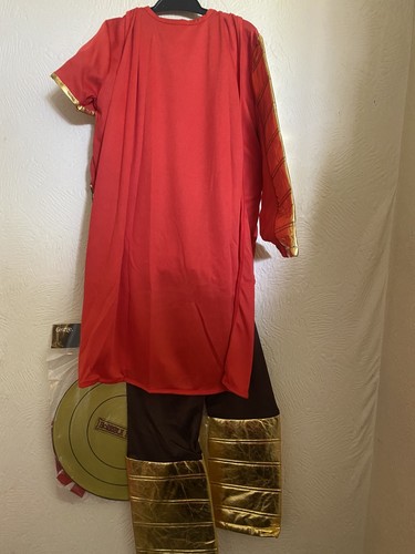 Horrible Histories Roman Gladiator Costume Age 5-6 Years - Picture 15 of 16