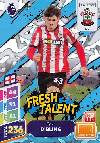 PANINI ADRENALYN XL PREMIER LEAGUE PLUS 2025 LEICESTER - WOLVES PARALLELS - Picture 107 of 157