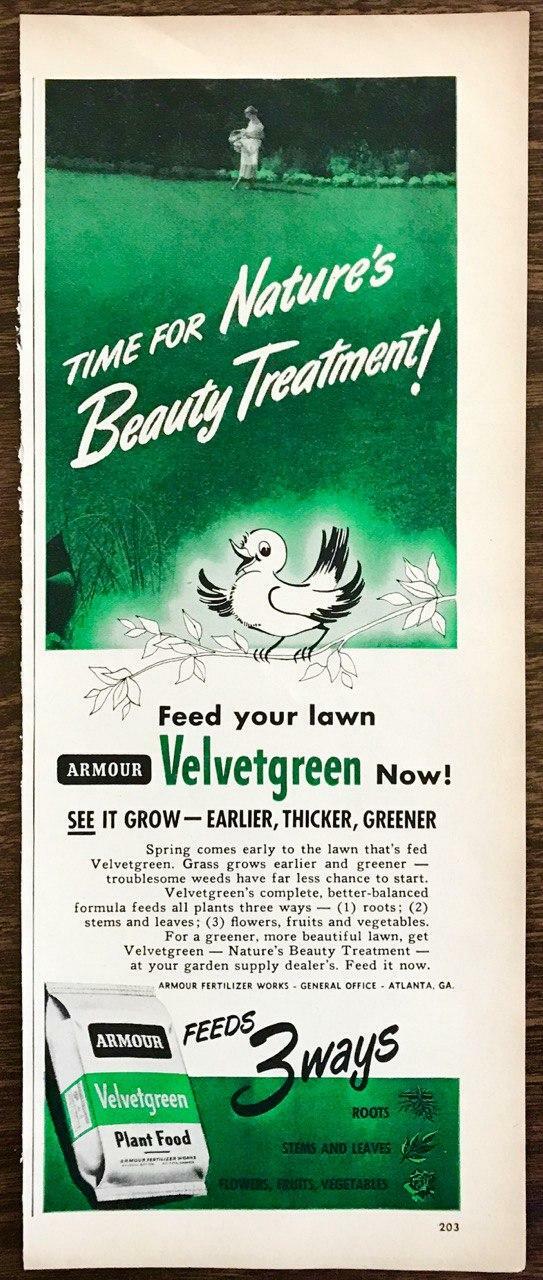 Print Ad Nature's Beauty Treatment Cute Bird