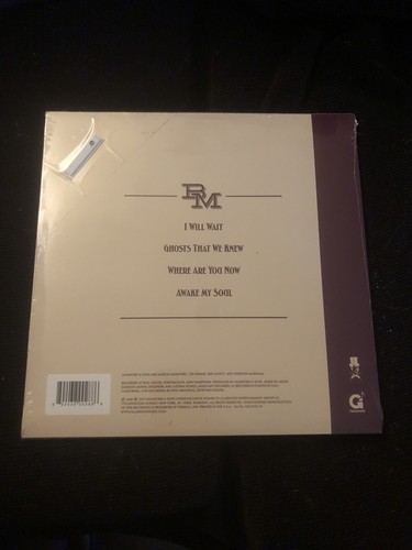 Mumford & Sons - Live From Bull Moose - RSD 10" Vinyl Record - Brand New - Picture 3 of 3