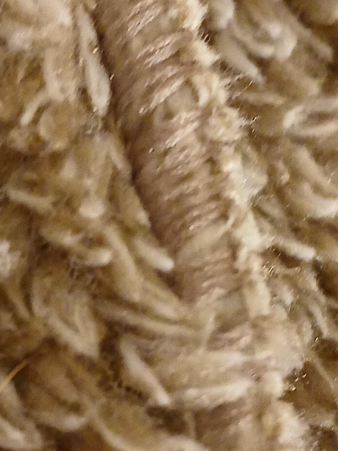 Picture 23 of 24