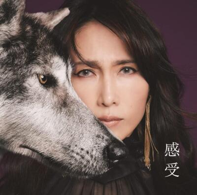邦楽 SHIZUKA KUDO ORIGINAL ALBUM COLLECTION 工藤静香25周年記念アルバムBOXが発売！アルバムオリジナル曲