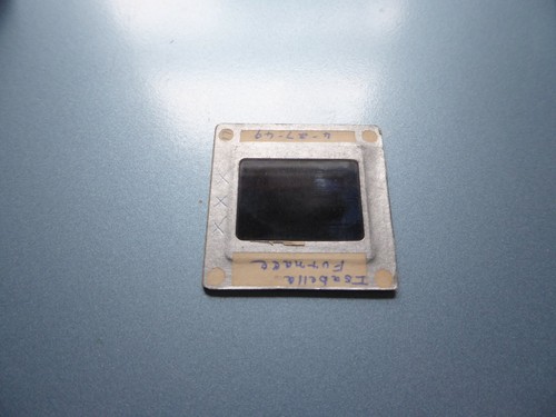 Isabella Iron Furnace, Chester County, Pennsylvania in 1949, Original Slide e7a - Picture 2 of 2