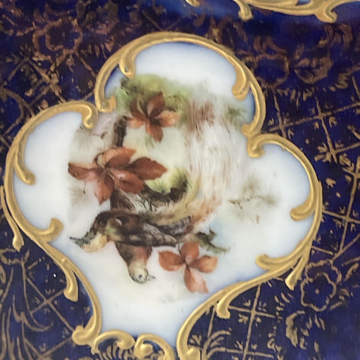 Antique 18thC Royal Vienna Porcelain Bird Scene Plate 11” | eBay