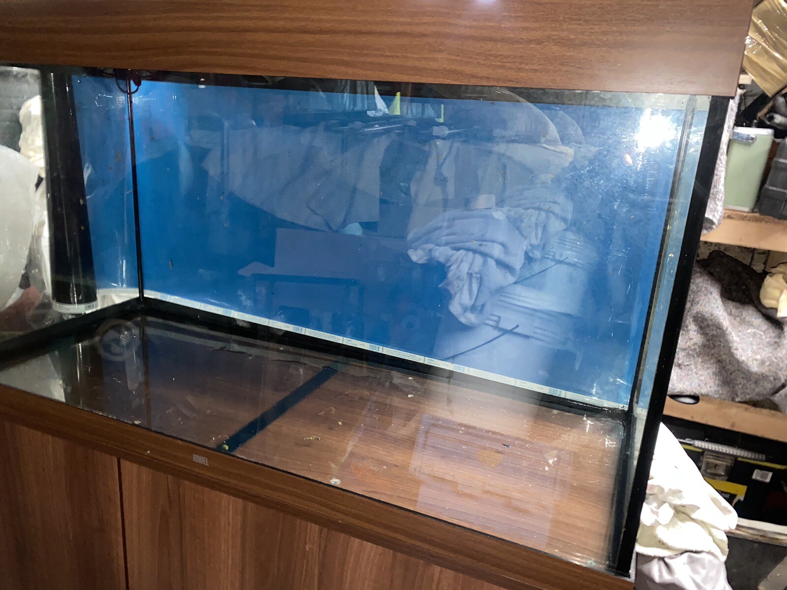 Aquarium Fish Tank Juwel Rio 350 4ft & Filter Accessories. eBay