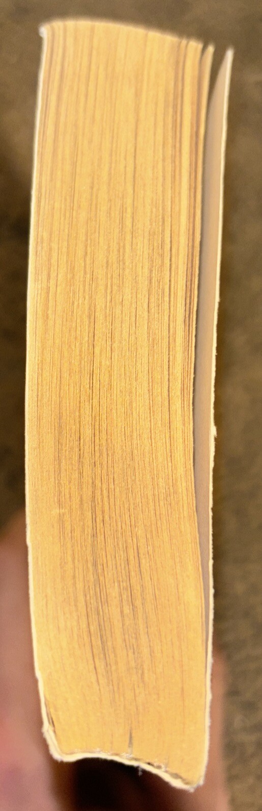 Foto 7 di 24