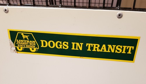 Lintran 'Linflat' Large Dog Box for vehicle car transport. COLLECTION ONLY - Picture 14 of 17