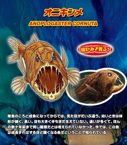 Sea Monsters & Co. MINI Juego de 12 Figuras Elásticas 8.5cm Deagostini Aleatorio - Imagen 10 de 24