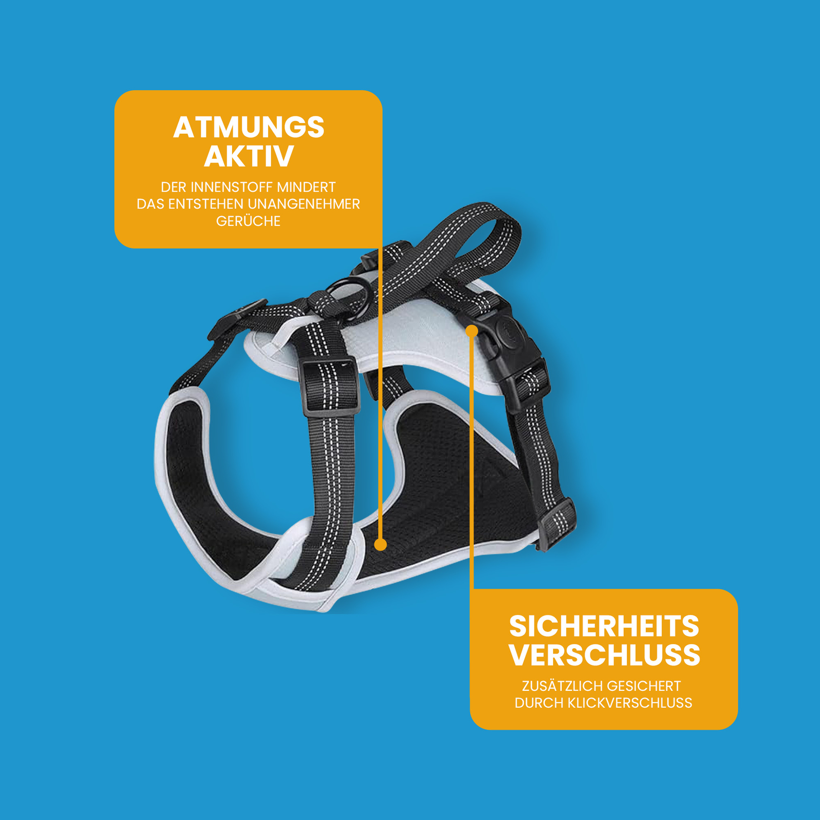 Bild 19 von 23
