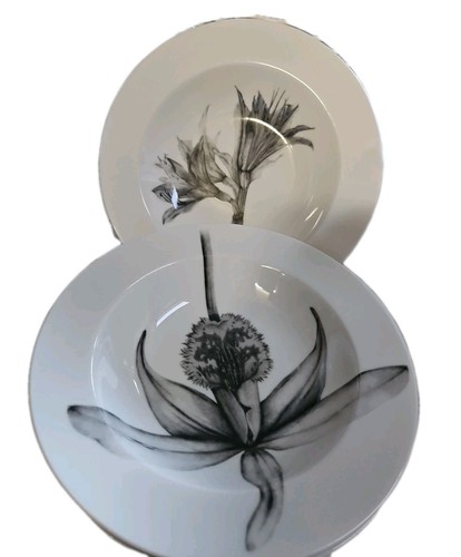 222 FÜNFTE BOTANICA 2 ORCHIDEE & 1 AMARYLLIS FEINPORZELLAN 9" Rand Suppenschüsseln (3) EUC - Bild 1 von 6