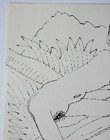 Picture 5 of 8