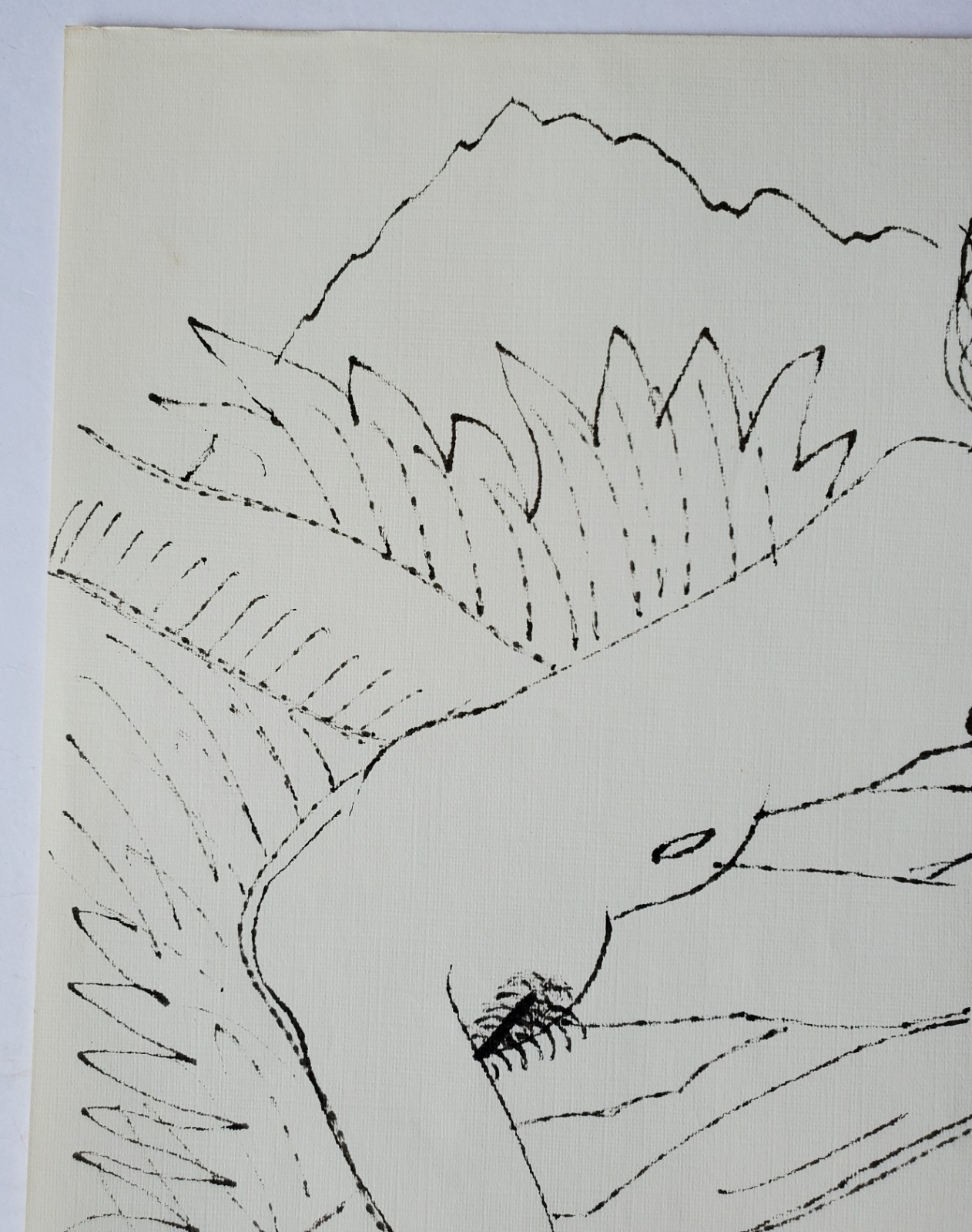 Picture 5 of 8