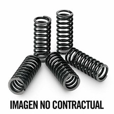 TECNIUM Kit molle frizione TECNIUM - 6 molle di diametro 19mm e altezza 43mm