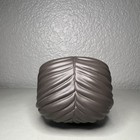 Picture 6 of 6
