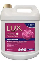 LUX Hand Wash 10 Litres (2 x 5L) - Gentle, Skin-Friendly Liquid Soap Refill 1.01 per litre