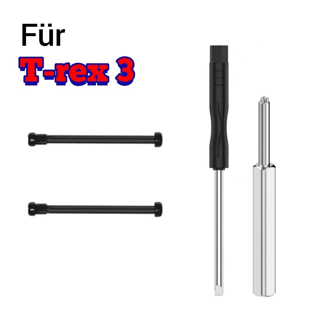 Bild 12 von 21
