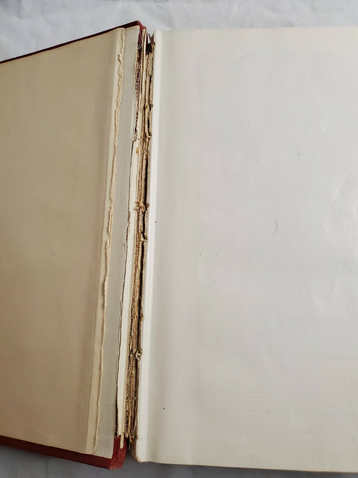 Picture 4 of 6