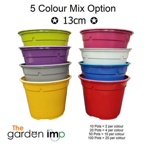Plastic Plant Pots Round 13cm Colour Mixed Bright Seed Plug Flower Pot 0.8 Litre - Picture 8 of 12