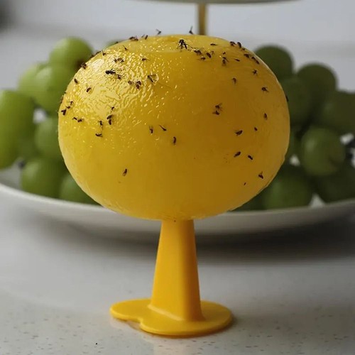 Fruit Fly Ball Fly Ball Trap Sticky Insect Ball Citrus Needle Wasp Trap Bug Trap - Picture 8 of 9