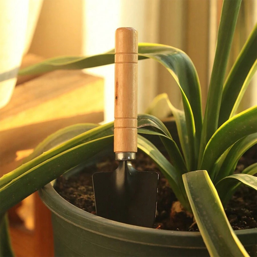 3pcs Planting Tool House Gardening Hand Planting Small Shovel Trowel Indoor Tool - Picture 5 of 6
