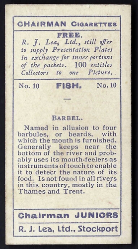 LEA - FISH - #10 BARBEL - Picture 2 of 2
