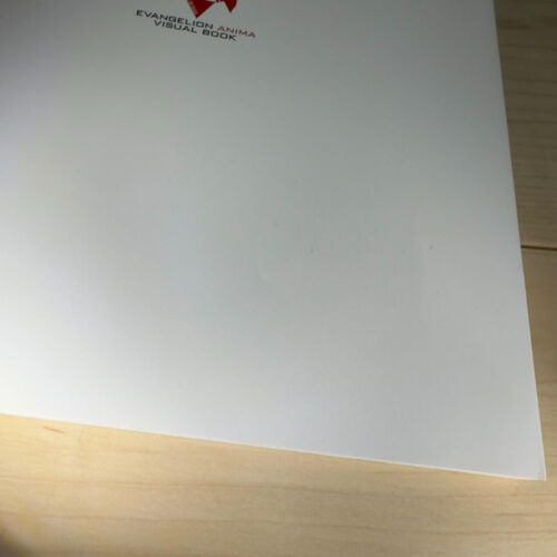 Evangelion Anima Visual Illustration Book Fan Japanese Art Used F/S - Picture 4 of 5
