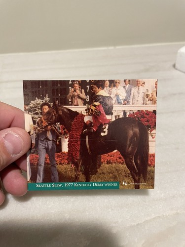 Seattle Slew Made in 2003 to celebrate the Triple Crown Bobblehead . - Picture 6 of 8