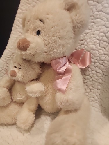 RBI Ron Banafato Muttertag beige Plüschbär Mama Baby Geschenkbox rosa Schleife 11 Zoll - Bild 4 von 9
