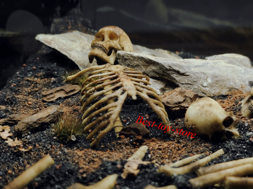 1/6 Scale Human Beings Skeleton PVC Model for 12" Action Figure Accessory Toys - Picture 8 of 20