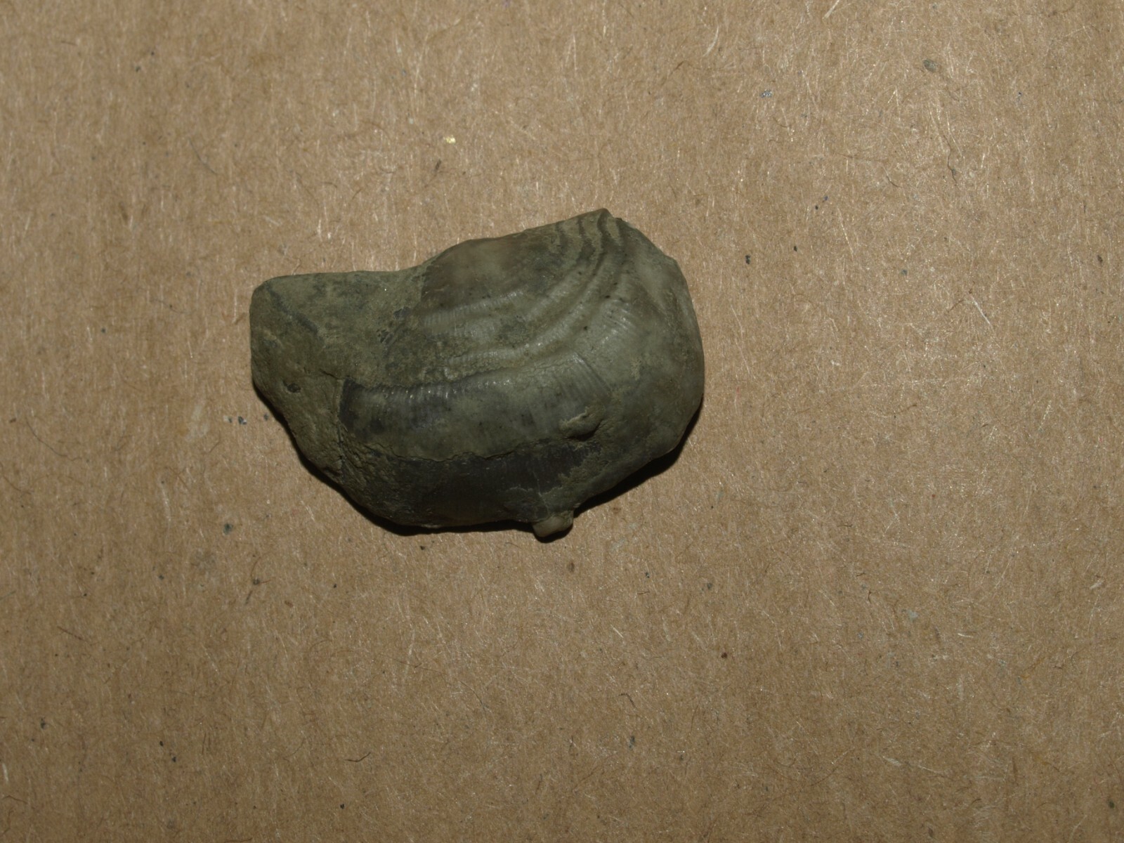 Picture 6 of 13