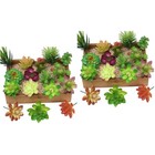  2 Pieces Mini Kunstpflanzen Künstliche Sukkulenten -Sukkulenten Kleine