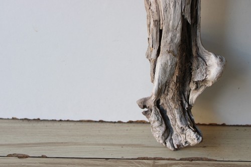 Madera flotante Driftwood 1 raíz nudosa decoración terrario 51 cm - Imagen 6 de 14