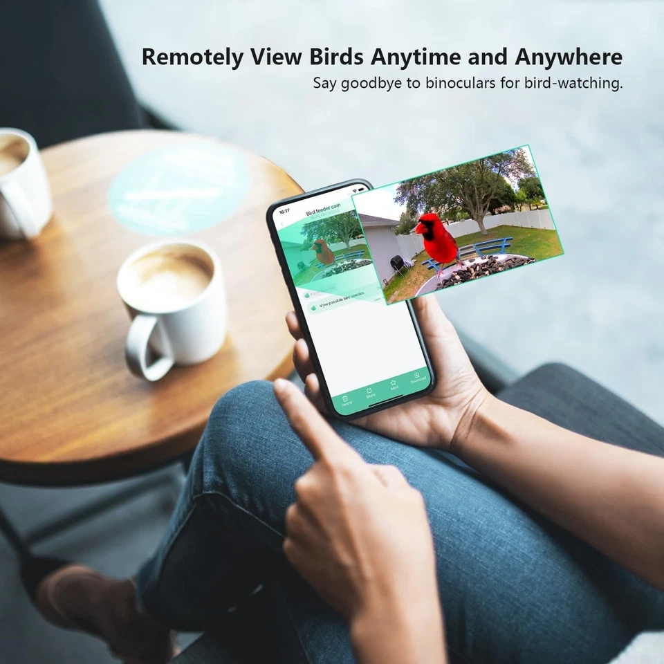 Alimentador de Pájaros 2K con Cámara, Alimentador Solar Recargable,Cámara Inteligente para Exterior Foto 3 de 4