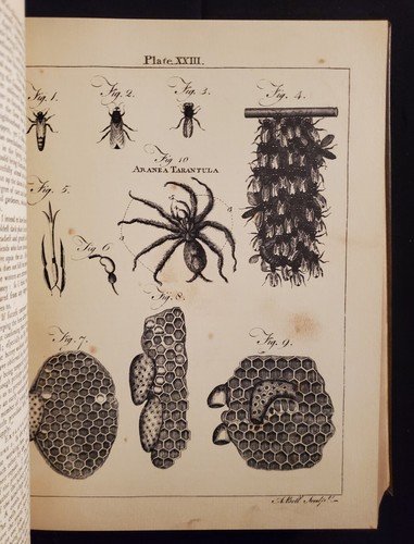 Encyclopedia Britannica 1768 - 1771 First Edition Facsimile Replica 3 Volume Set - Picture 11 of 11