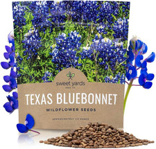 Texas Bluebonnet Wildflower Seeds - Bulk 1/2 Ounce Packet - over 500 Native Seed