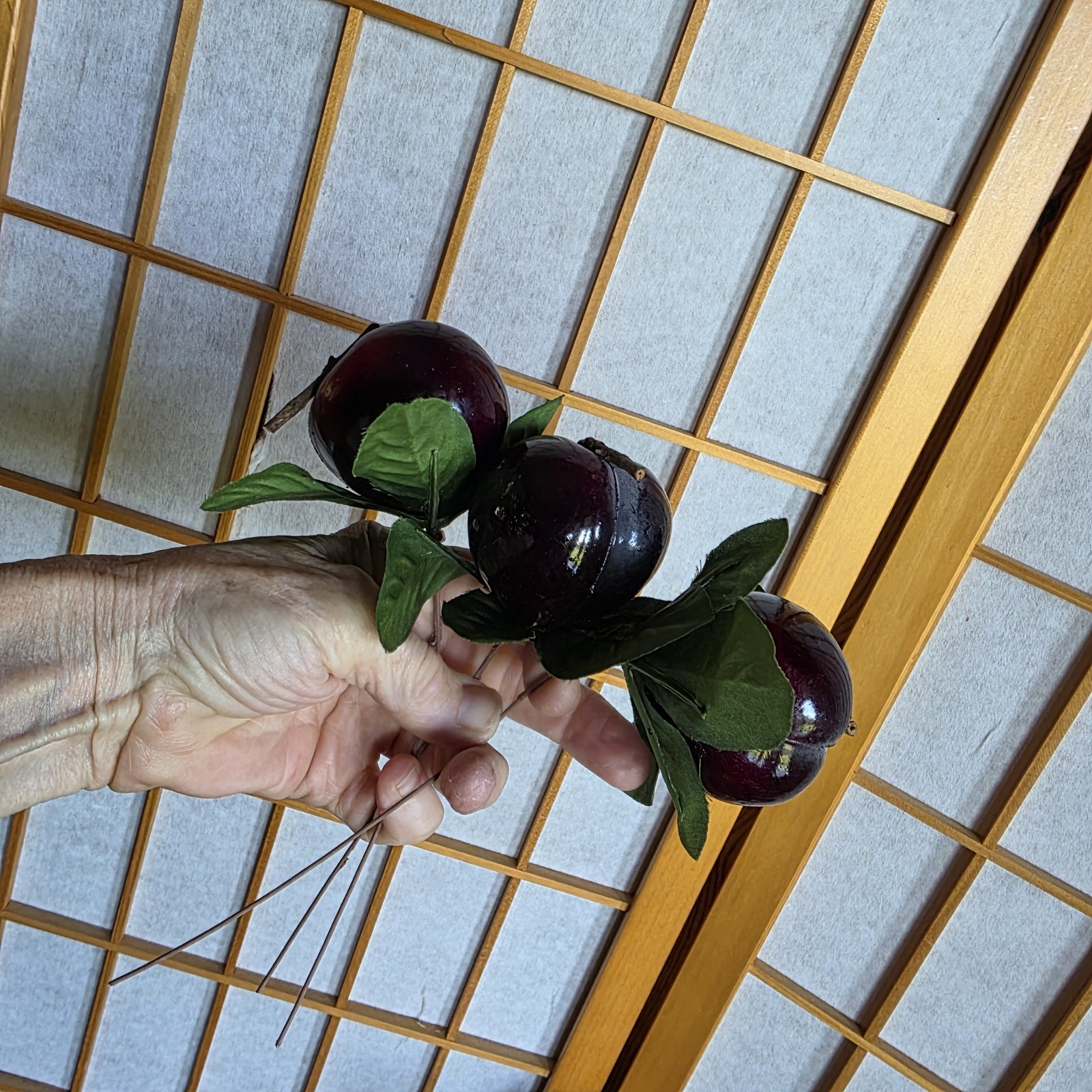 Bild 11 von 15