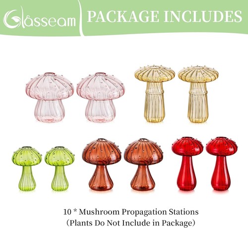 Glasseam Mushroom Planter Propagation Vase, Set of 10 Glass Terrariums for Plant - Picture 6 of 8