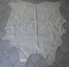 Picture 9 of 9