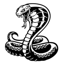 Vinyl Decal  - Cobra Snake, May Customize w/ Name, Various Colors & Sizes