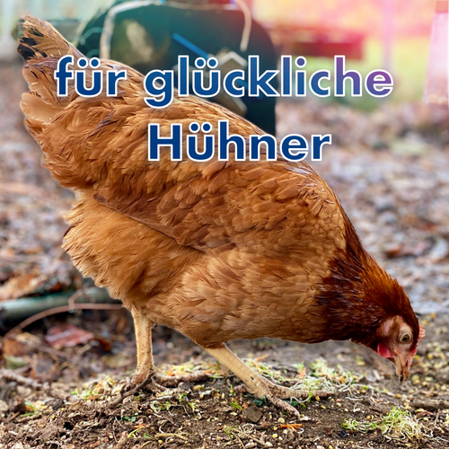 Milbensperre Milbenfalle Milbenschutz für Hühnerstange gegen Vogelmilbe Hühner - Bild 6 von 8