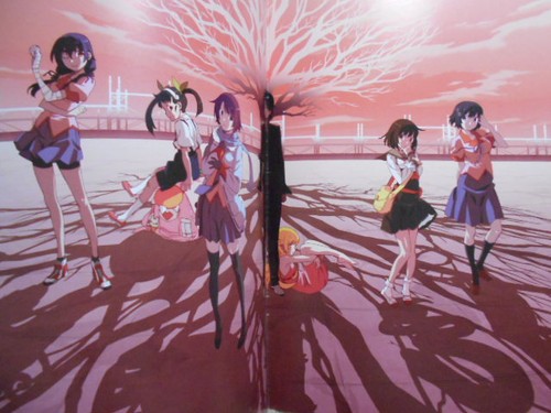 Nisemonogatari Japanese Booklet Anime sexy Karen Tsukihi Nadeko MP - Picture 6 of 6