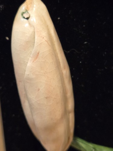 Vintage Keramik prächtige Magnolien gerahmt Dimension 3" Tiefe tolle Details - Bild 12 von 24