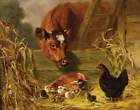 Home Art Wall Decor Cattle and hens Oil Painting Picture Printed On Canvas