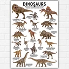 Dinosaur Species Identification Chart A3 | Educational Palaeontology Poster
