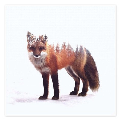 Poster Fuchs - Peg Essert