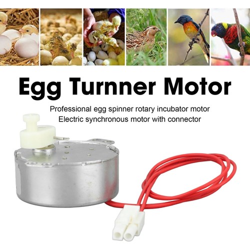 (12v) Motor giratorio de huevos 4W motor de incubadora de rotador giratorio de huevos para pollos - Imagen 5 de 22