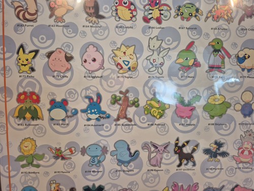 BRAND NEW 2020 NINTENDO POKEMON JOHTO REGION POSTER #152-#251 CHART 24" X 36" - Picture 5 of 9