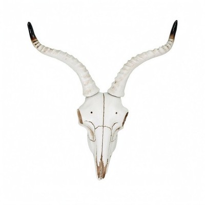 Longhorn Schädel Wanddeko Rustikal Tierschädel-Wandhänger Western-Stil