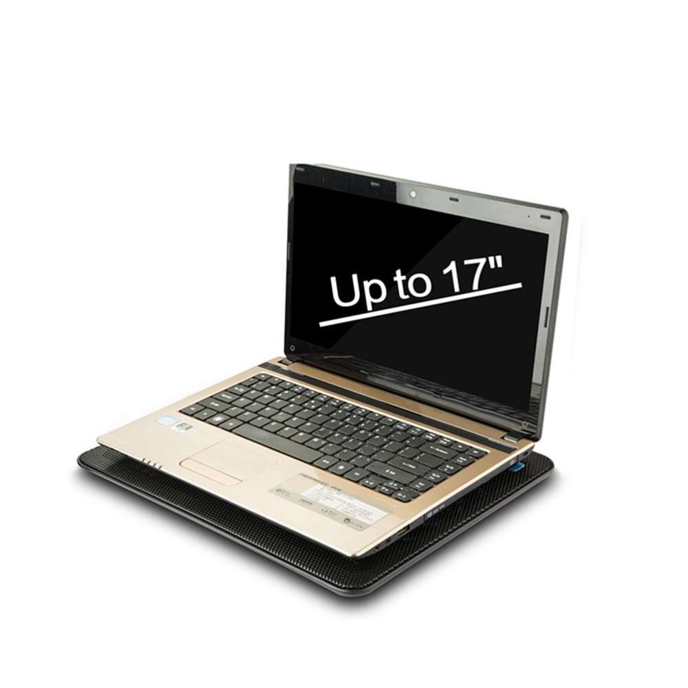 Afbeelding 3 van 12